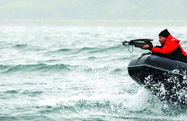 普京与橡皮艇 捕鲸议题的隐喻与现实