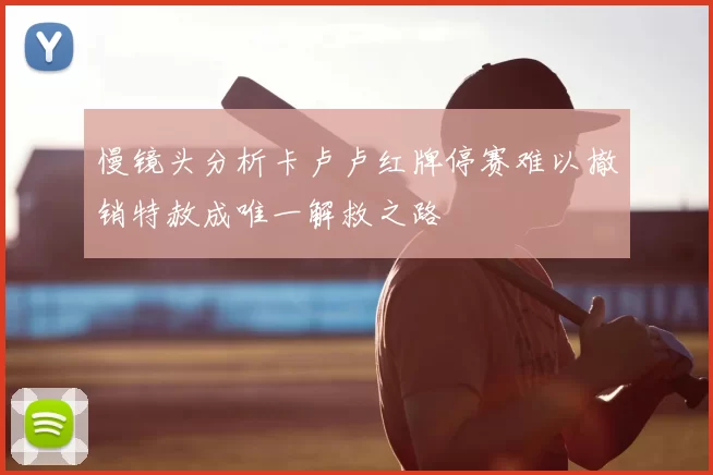 慢镜头分析卡卢卢红牌停赛难以撤销特赦成唯一解救之路