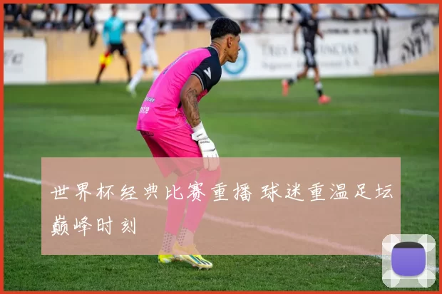世界杯经典比赛重播 球迷重温足坛巅峰时刻
