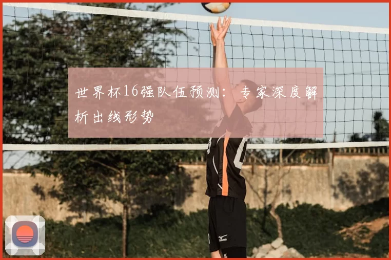 世界杯16强队伍预测:专家深度解析出线形势