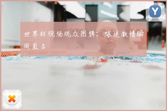 世界杯现场观众图辑：球迷激情瞬间直击