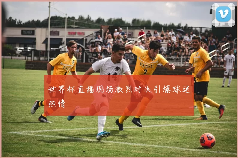 世界杯直播现场激烈对决引爆球迷热情