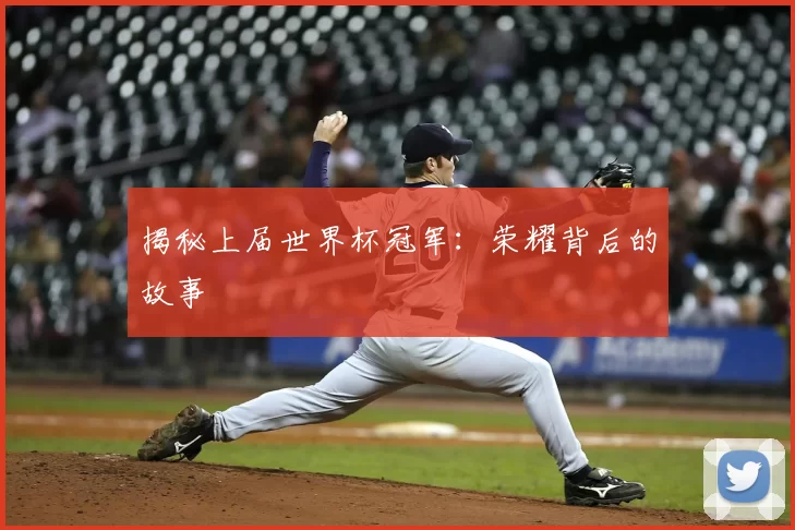 揭秘上届世界杯冠军：荣耀背后的故事