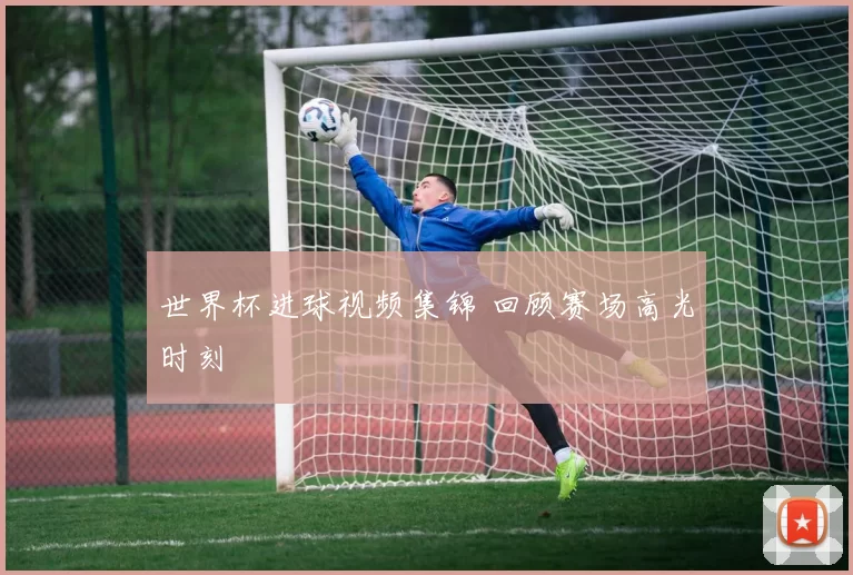 世界杯进球视频集锦 回顾赛场高光时刻
