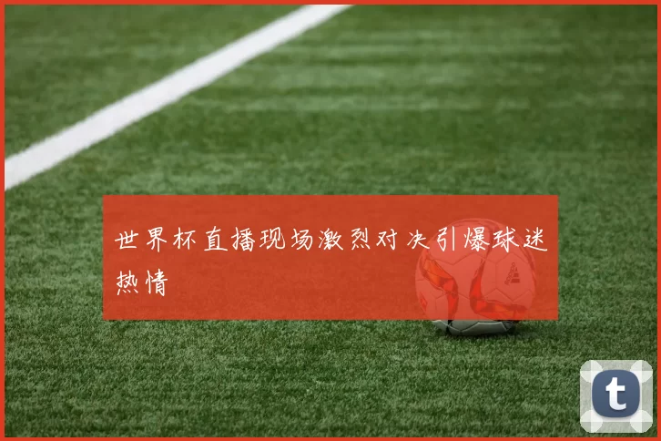 世界杯直播现场激烈对决引爆球迷热情
