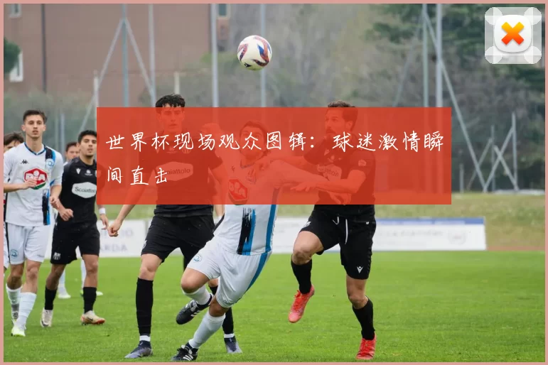 世界杯现场观众图辑：球迷激情瞬间直击