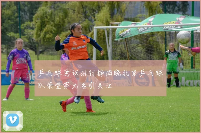 乒乓球意识排行榜揭晓北京乒乓球队荣登第九名引关注